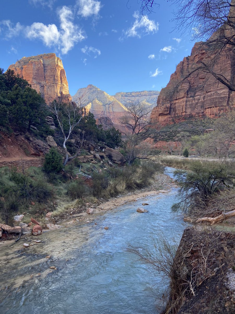 If you’re thinking about getting out there and taking that trip…..

You should do it. 

May I recommend Zion National park? 

Truly an incredible place.