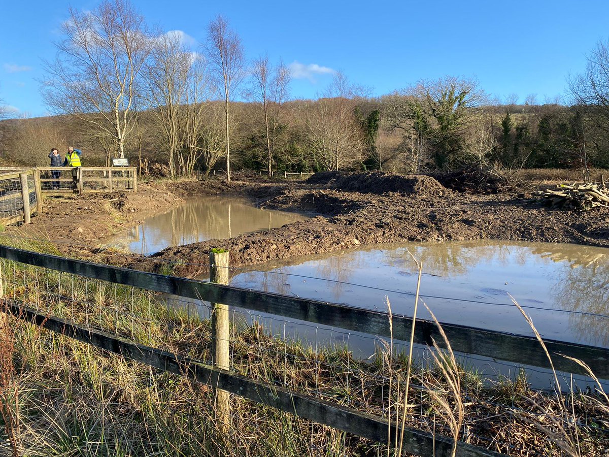 🐸 Return of the Ponds at @NPTCouncil Gnoll Country Park! 🦆
Visitors to Gnoll Country Park may have noticed the transformation of a wetland area of the park. Over the last 15 years, the ponds that could once be found here have become overgrown and were all but gone...