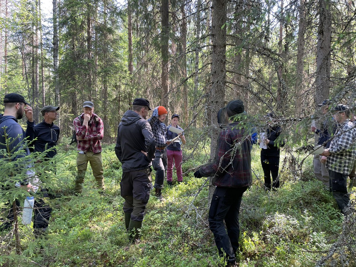 Maastokoulutuksessa lisää oppia uhanalaisten lajien huomioimiseen metsätalouden suunnittelussa. 👍Asiantuntevaa opetusta <a href="/Metsahallitus/">Metsähallitus</a> #Metsätalous Oy:n lajistoasiantuntijalta. #monikäyttömetsät #monimuotoisuus #vastuullisuus