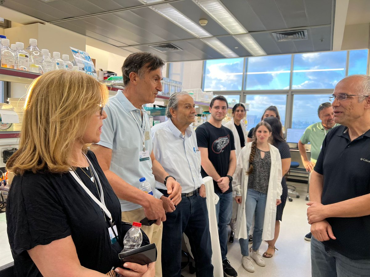 Bar Ilan University tweet media