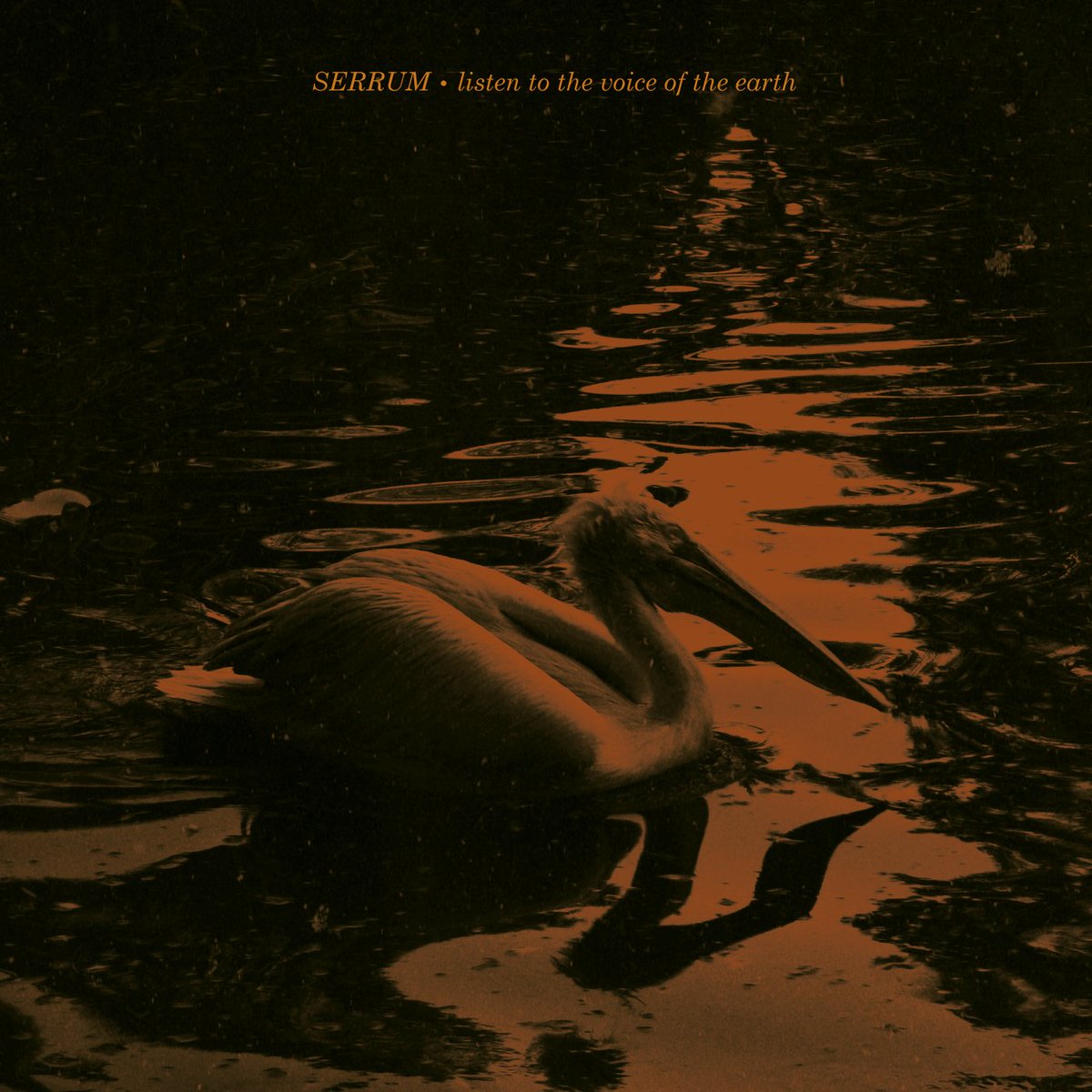 "Listen to the voice of the earth"

Our new track, released today

serrum.bandcamp.com/track/listen-t…