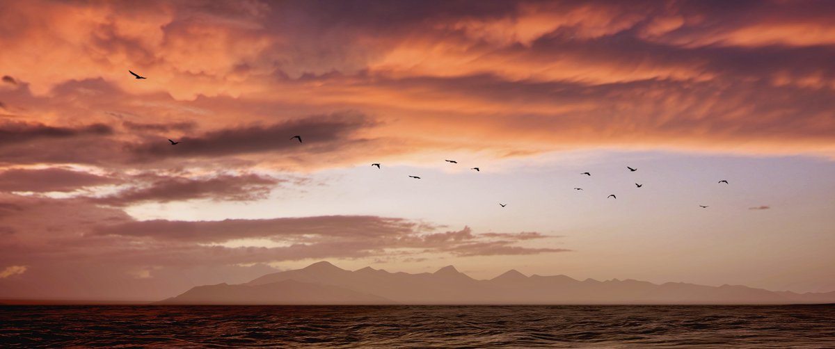 Ayghan's tweet image. Forza Horizon 5

Tap to expand ↔️

#ForzaHorizon5