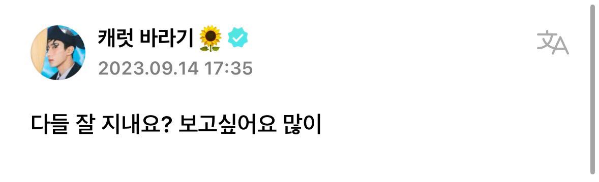 로피 tweet media