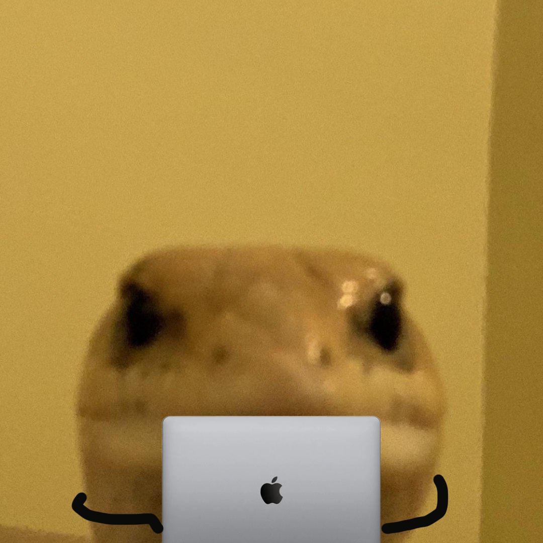 Leonard The Lizard tweet media