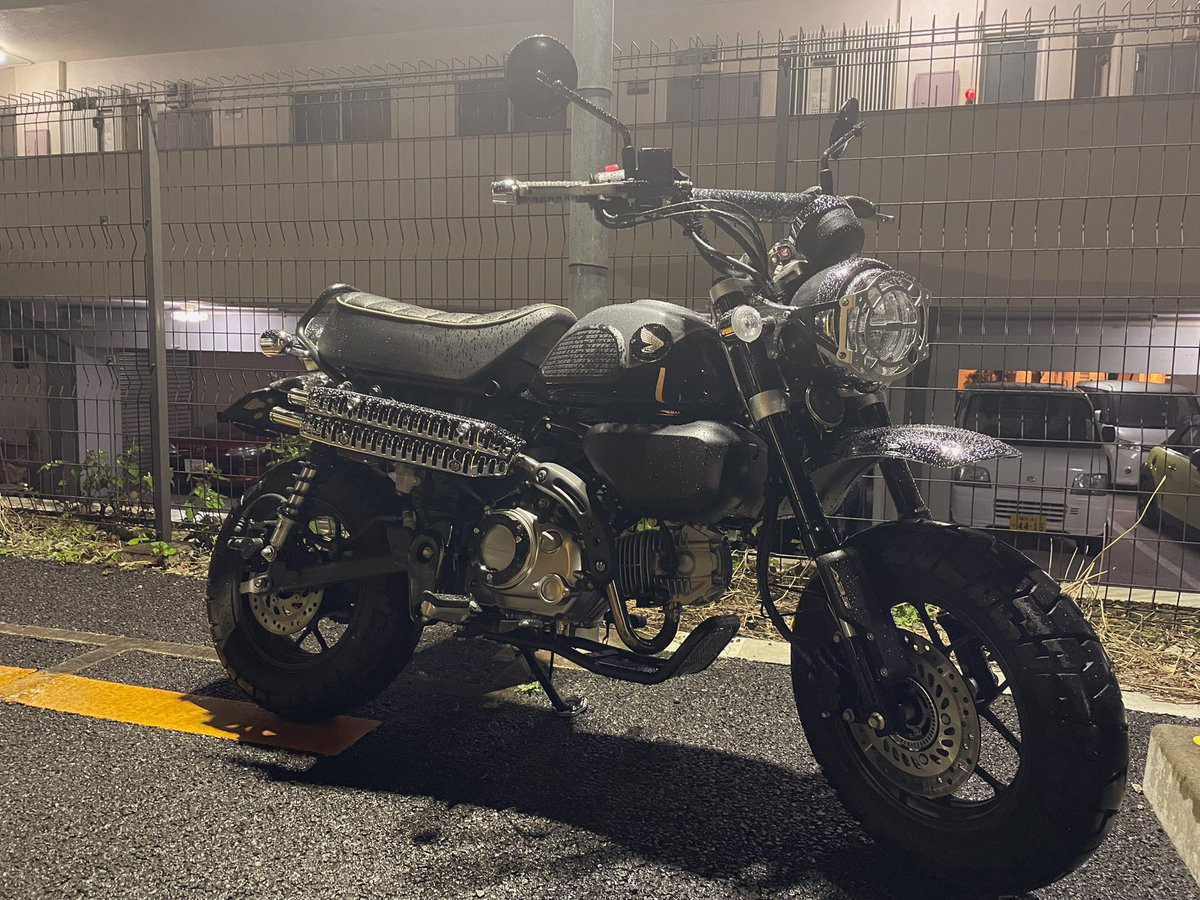 モンキー125のどこでも入り込めて気軽に取り回しできる軽いバイクもいいけどW800みたいなドッシリ構えてパワーあって高速乗れるバイクも良いな…10年後には2台持ちしてるかも