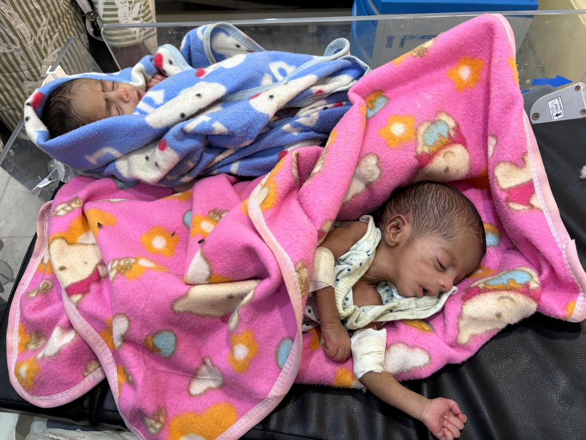 Tedros Adhanom Ghebreyesus (@drtedros) on Twitter photo We have no time to lose as famine looms for millions of people in #Sudan, amid intense fighting and the denial of access for humanitarian aid.
I join <a href="/iascch/">Inter-Agency Standing Committee (IASC)</a> principals in this statement: bit.ly/4bCyOjx
We urge the immediate protection of civilians, unimpeded We have no time to lose as famine looms for millions of people in #Sudan, amid intense fighting and the denial of access for humanitarian aid.
I join <a href="/iascch/">Inter-Agency Standing Committee (IASC)</a> principals in this statement: bit.ly/4bCyOjx
We urge the immediate protection of civilians, unimpeded