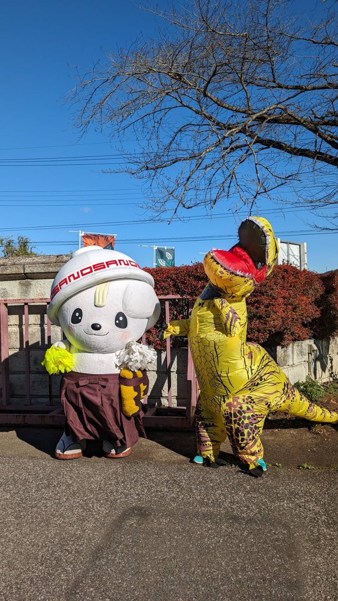 チビ太ザウルス@ティラ活アイドルNo7 tweet media