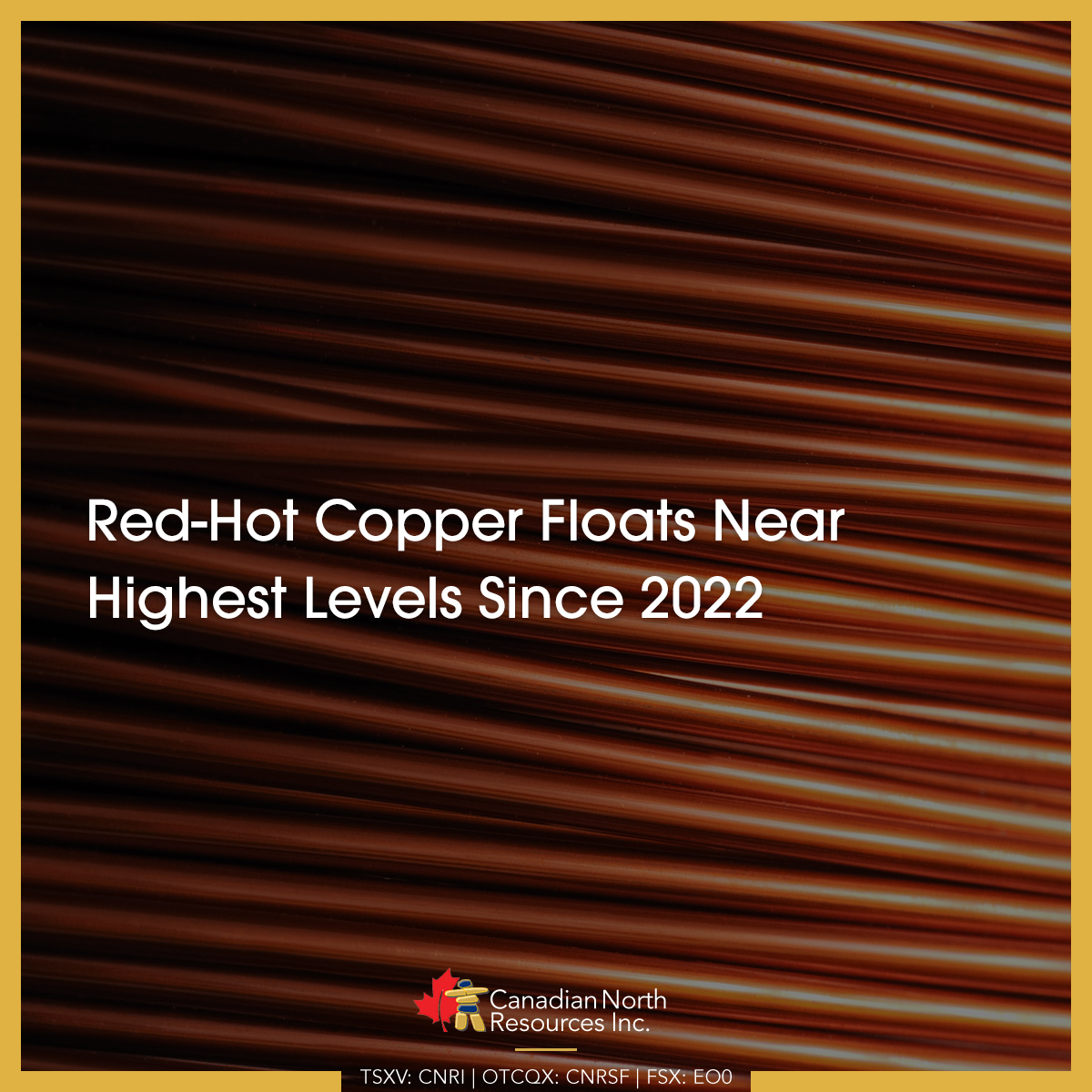 🗞️INDUSTRY NEWS UPDATE: #Copper prices have closed at a two-year high in late April 2024, hitting $4.66 per pound. This is great news for our #FergusonLake Project in #Nunavut.

Read: loom.ly/Fmh6170

#CriticalMinerals #Stocks #TSXV $CNRI $CNRI.V #OTCQX $CNRSF #FSE #EO0