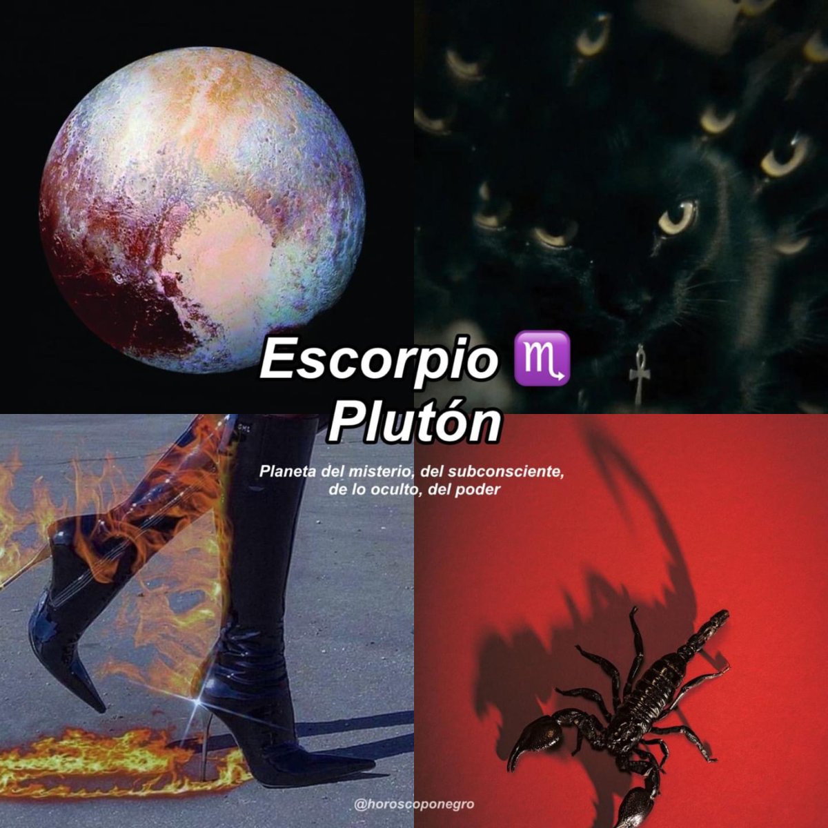 escorpio_hn's tweet photo. Tu planeta regente, Escorpio ✨🔮✨ https://t.co/TyUyUp7fq7