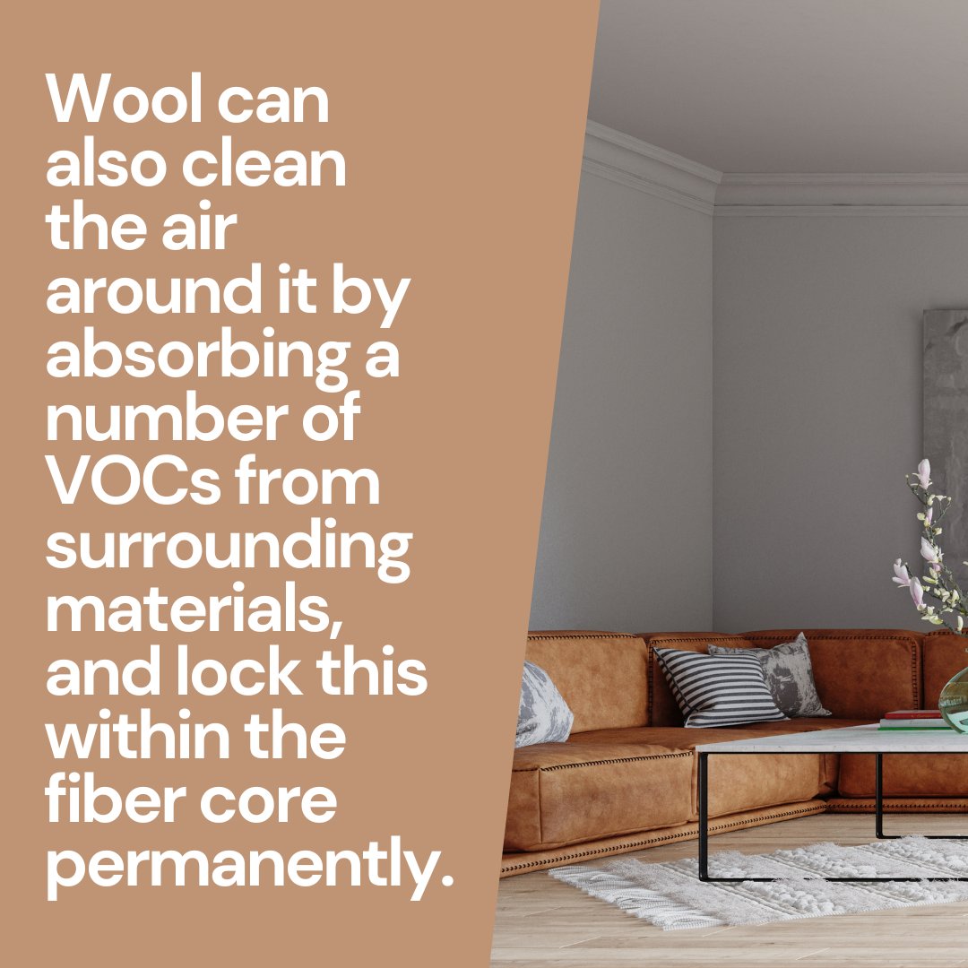 Adding curtains, rugs, upholstery, pillows, and blankets made of wool can actually help clean the air that’s inside of your home. ⁣
⁣
#experiencewool #voc #VOCs #pollution #indoorpollution #naturalliving #naturallife #choosewool #interiors #interiordesign #interiordesigner⁣