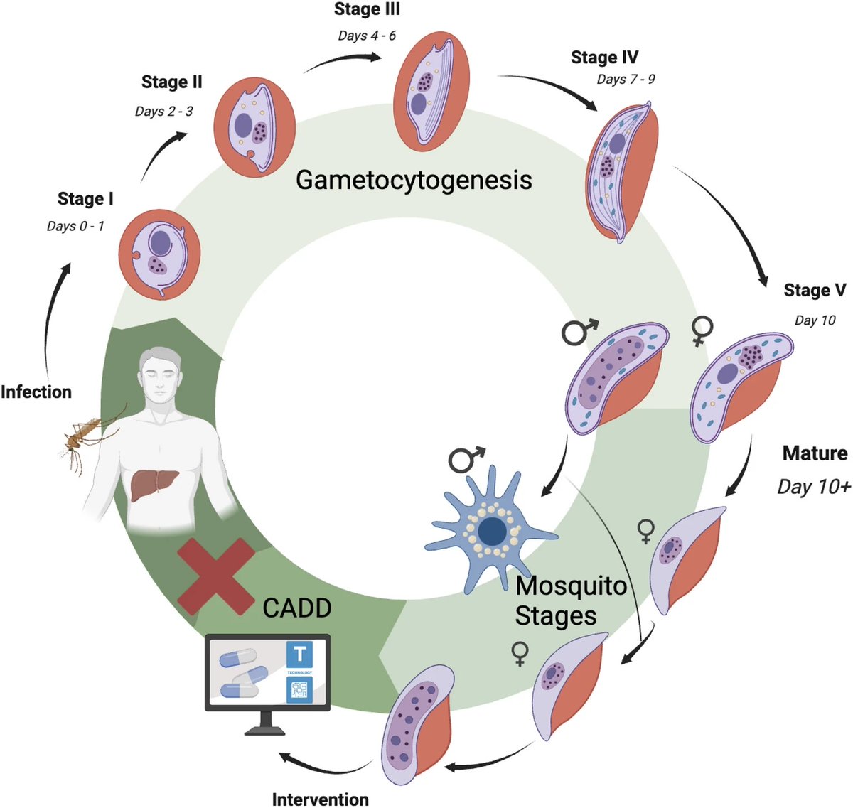 new: 'Leveraging computational tools to combat malaria: assessment and development of new therapeutics' jcheminf.biomedcentral.com/articles/10.11…