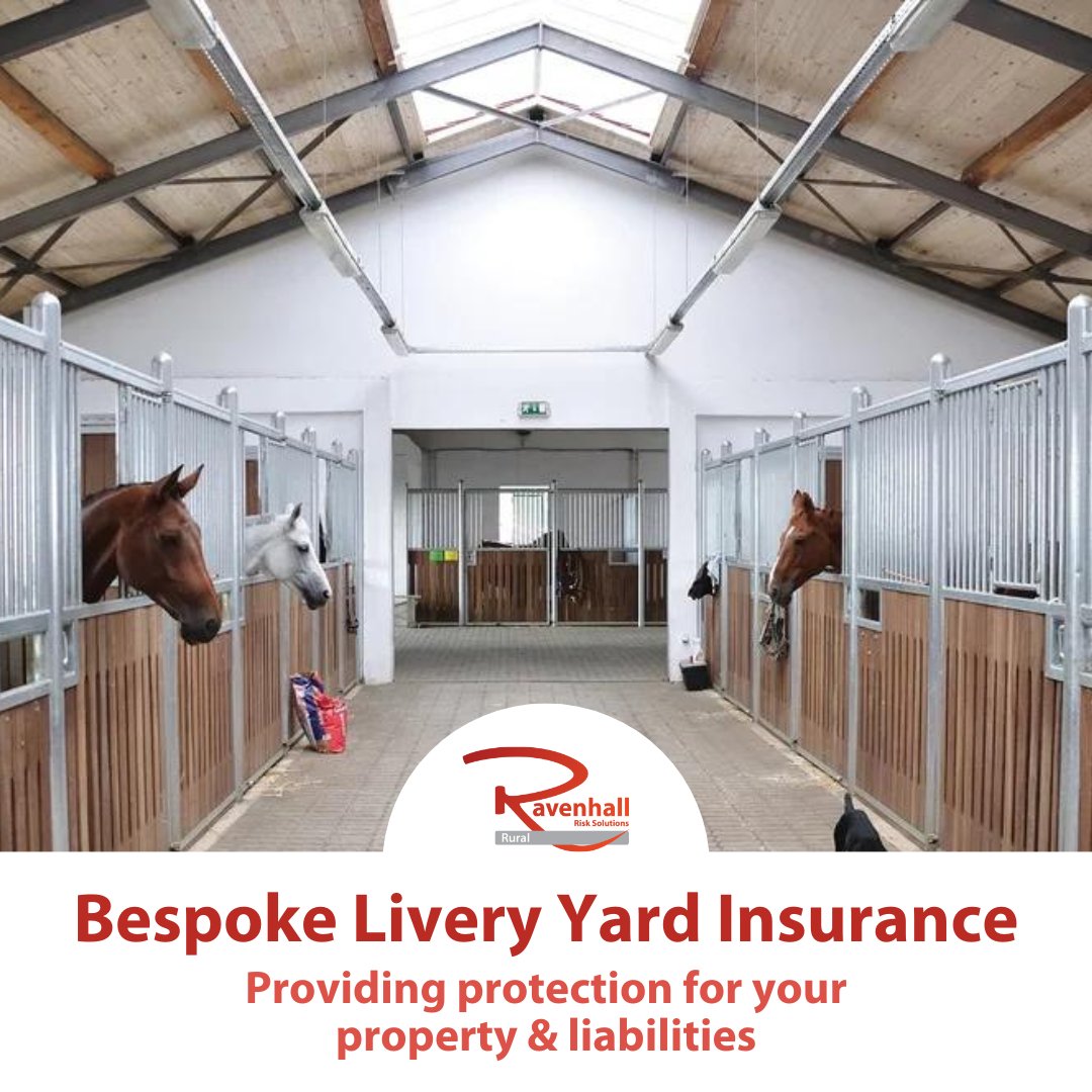 RavenhallRural's tweet photo. Our bespoke #LiveryYardInsurance, developed in collaboration with our insurer partners, offers comprehensive protection for your #property &amp; #liabilities, ensuring you’re covered against a wide range of potential risks. 

Visit our website to learn more - https://t.co/4cDjXH9Wkc https://t.co/ZW4X2OuQpe