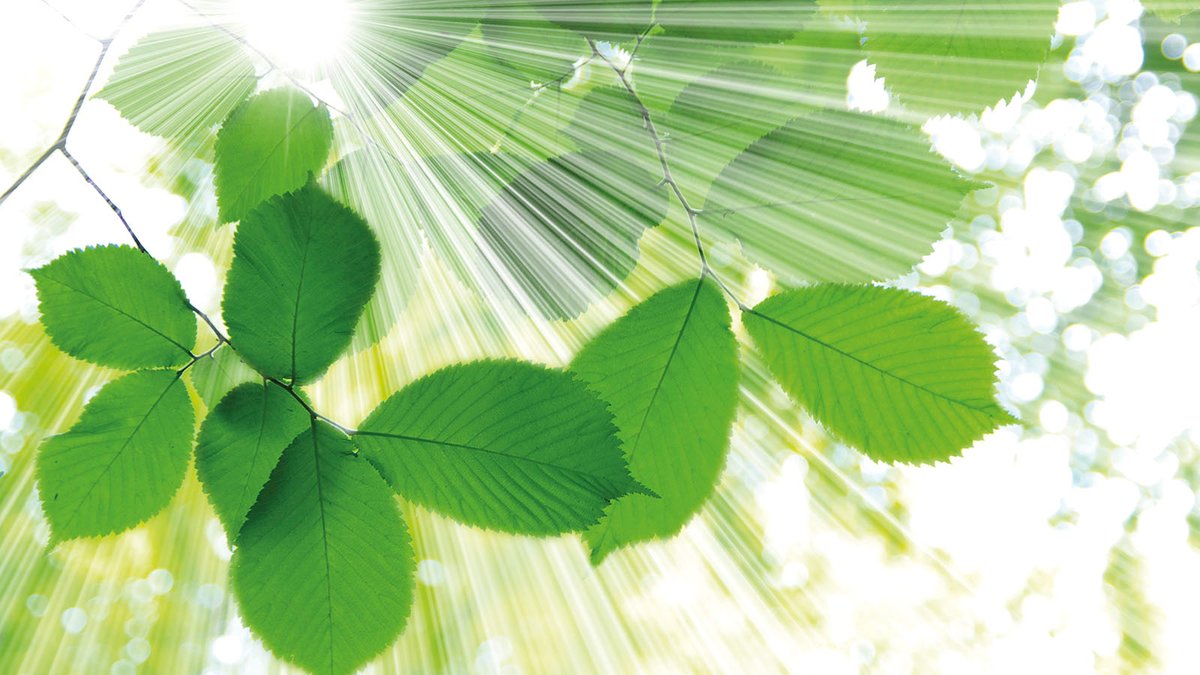 Herrmann Ultrasonics is helping customers achieve their #sustainability initiatives with their #ultrasonicbonding technology. Eliminating chemicals, reducing energy &amp; waste. Read more about their sustainability success: bit.ly/4bSuvk0