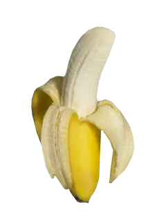 🚜Luddite🍄Engineer tweet media