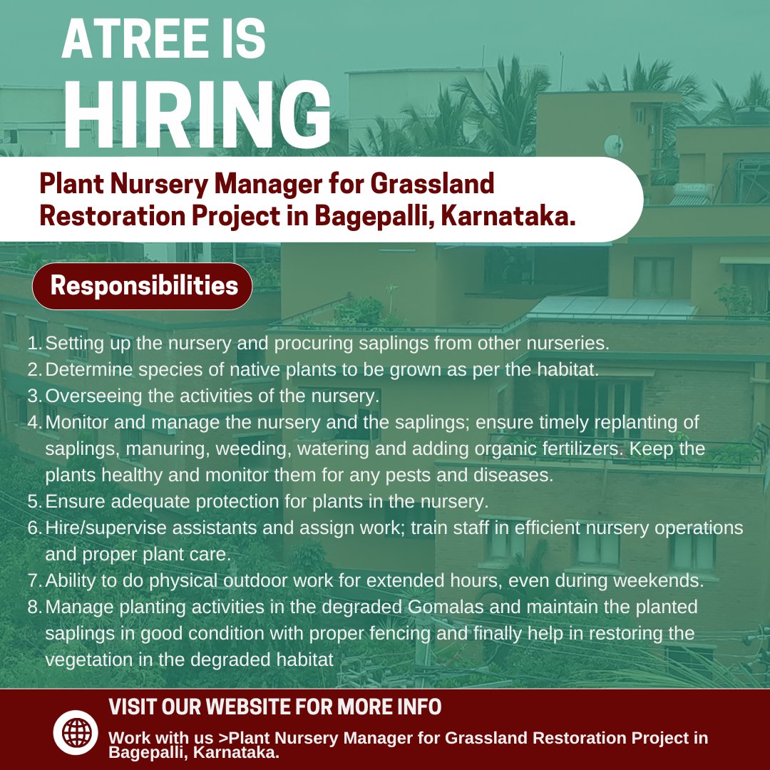 We are hiring ! ATREE seeks a Plant Nursery Manager with a background in agriculture/ horticulture to develop and manage a native plant nursery for Grassland Restoration Project in Bagepalli, Karnataka. atree.org/career/plant-n…