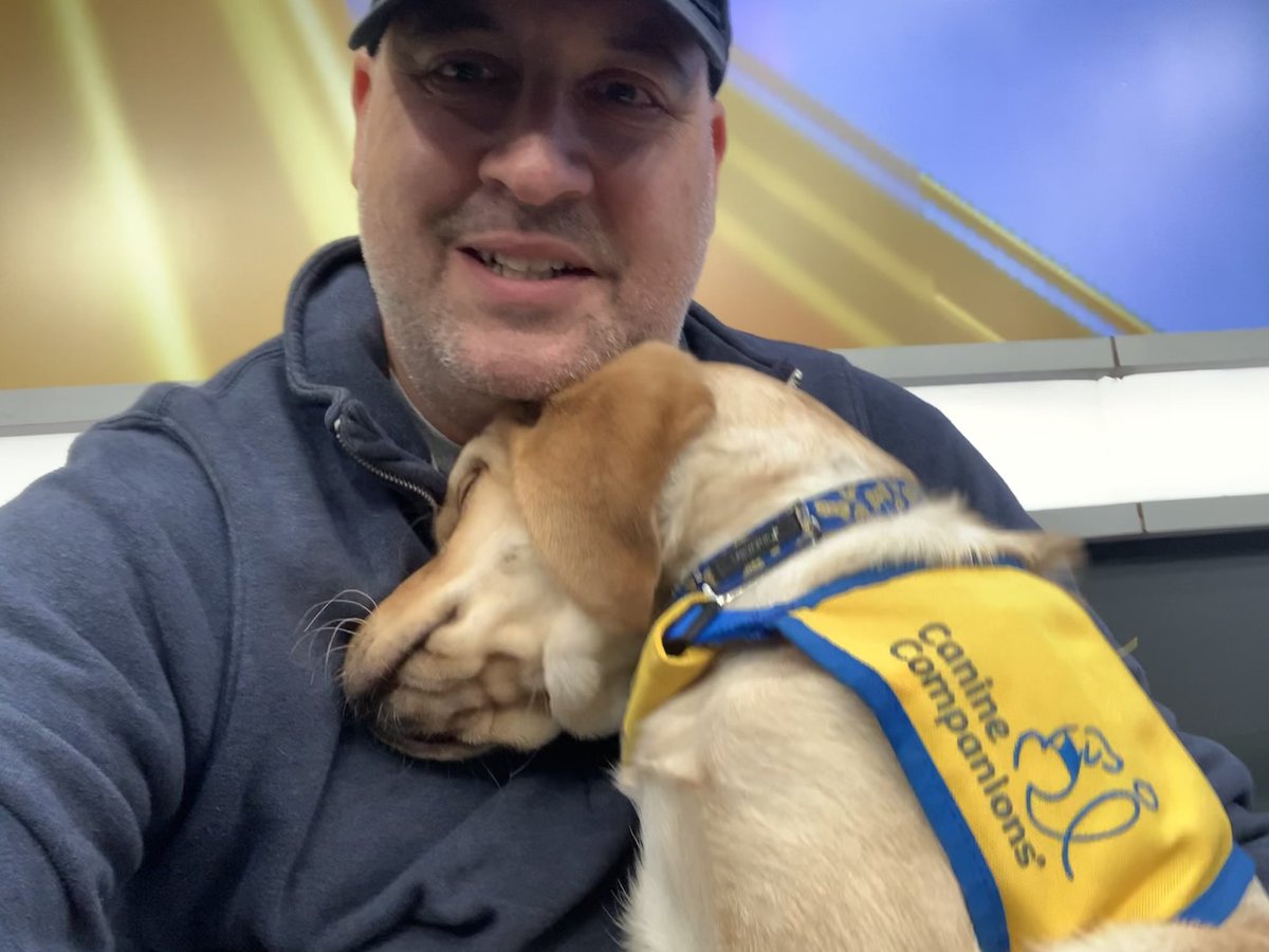 ajconn95's tweet photo. Fri-yay, Paris is here! @nbc4i @canineorg https://t.co/kS5KciFhzS