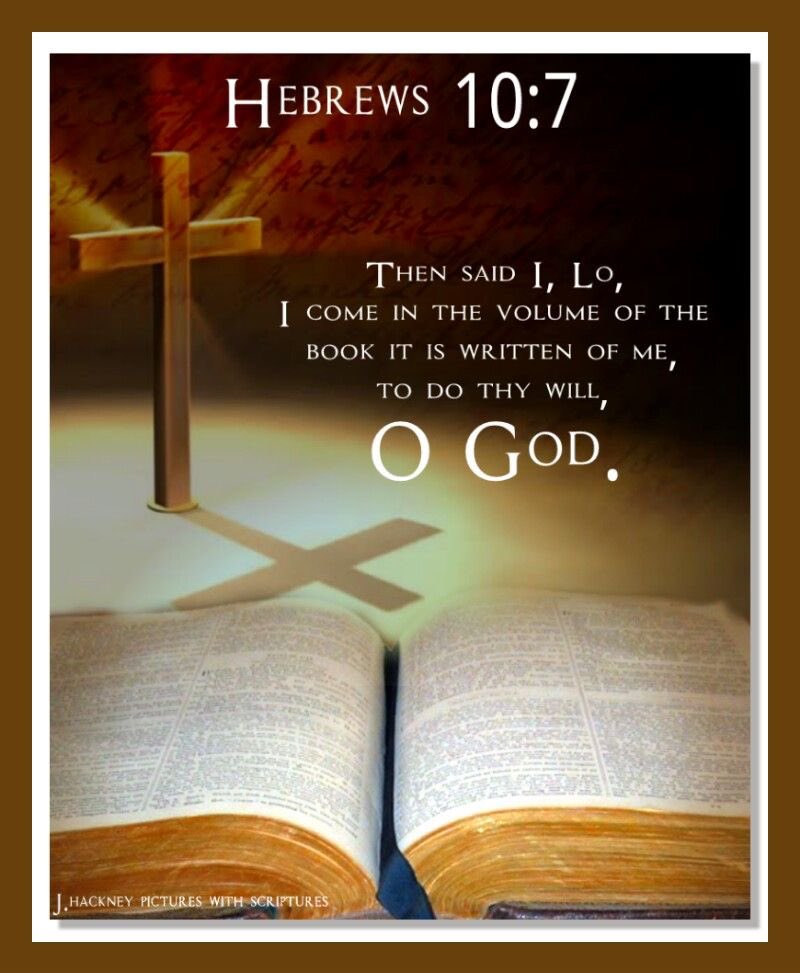 Angelmom337's tweet image. Happy Friday, family