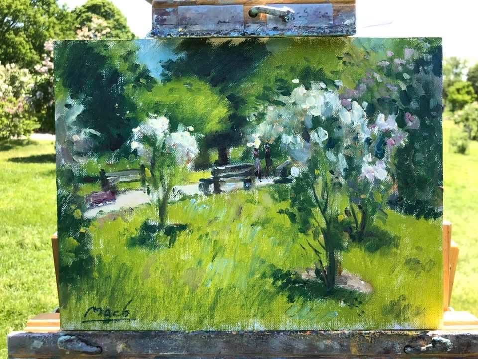 Lilacs at RBG Arboretum, from few years ago.  #pleinairpainting #oilonlinen