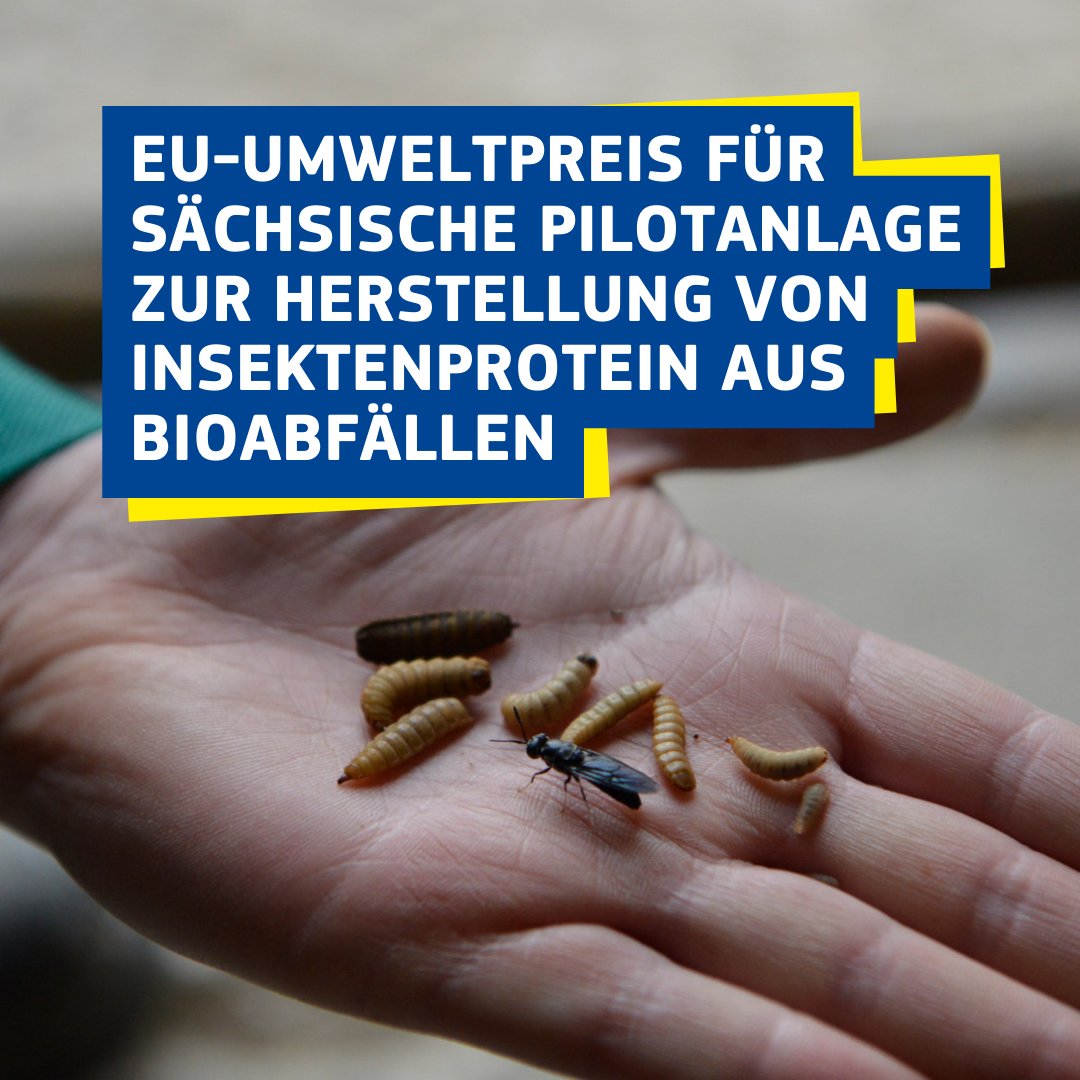 EU-Umweltpreise für Projekte in Bayern und Sachsen 🇩🇪🇪🇺 #LIFEAwards24
🔹 LIFE Flusserlebnis Isar für die Renaturierung
🔹 LIFE Waste2Protein für die Herstellung von Insektenprotein als Alternative zu Fisch-/Sojamehl im Tierfutter
Details: europa.eu/!6qR6pv
Wir gratulieren!