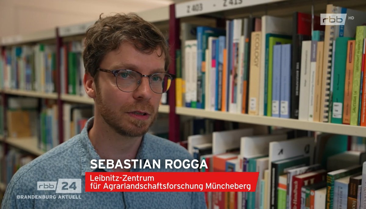 🌱Endlich mehr #Acker!
Mit dem #Agrarstrukturgesetz sollen jetzt Nachhaltigkeitskriterien für die Vergabe von Pachtland für #Landwirtschaft wichtig sein - nicht mehr das Höchstgebot. Damit sollen sich die Startchancen für junge Betriebe verbessern. 👩‍🌾👨‍🌾
rbb-online.de/brandenburgakt…