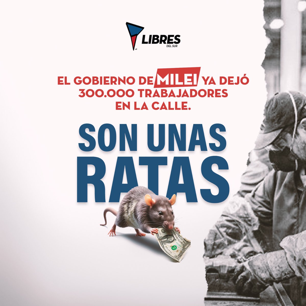 patompaz's tweet photo. No veo a la casta pagando el ajuste sino a los más 300.000 trabajadores despedidos.
#NoesunLeonEsunaRATA
#MileiVergüenzaNacional https://t.co/SNwZfsTnUk