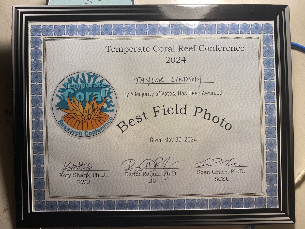 Taylor Lindsay tweet media