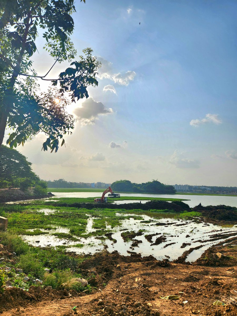 Rishi Vora tweet media