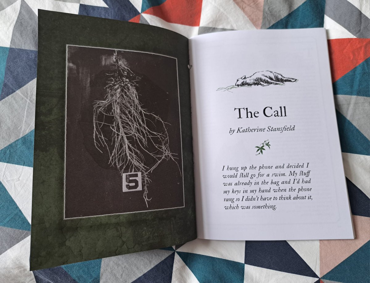 Katherine Stansfield is away tweet media