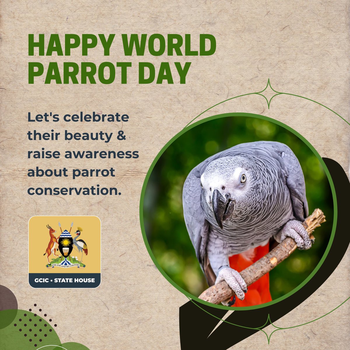 As we celebrate World Parrot Day, let us raise awareness about the African grey parrot conservation. #ExploreUg #OpenGovUg