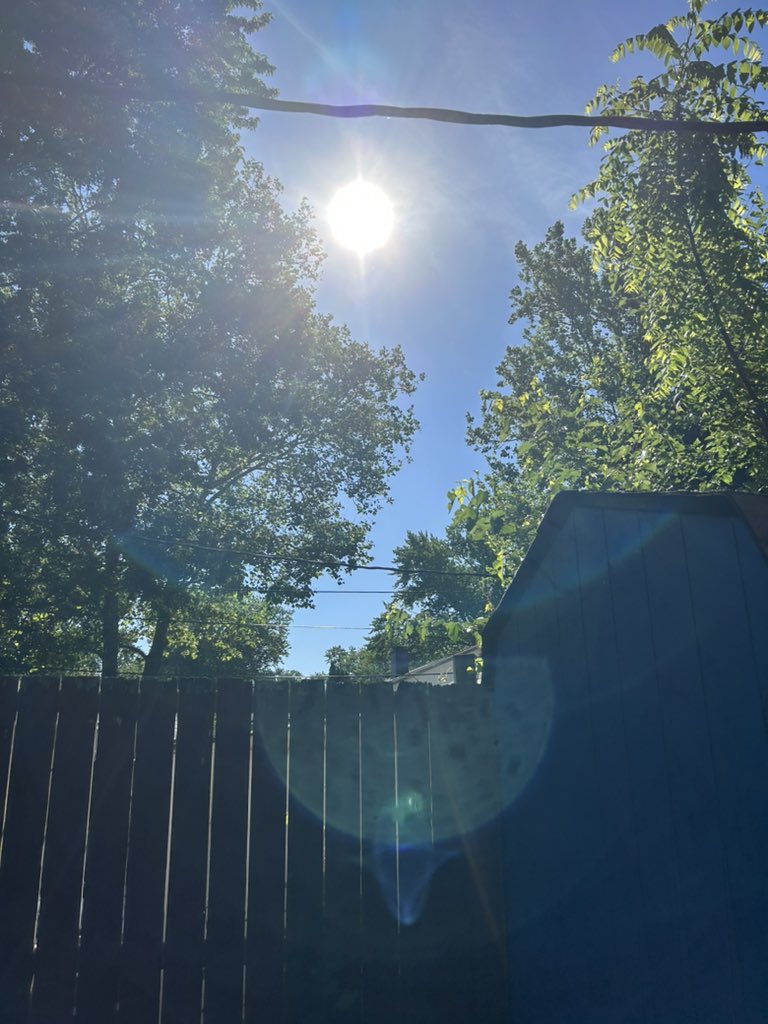 First thing I do almost every morning now is go get sun on my face 

I mean literally I get out of bed, piss, brush my teeth and then boom out the door with the shepherds into the backyard 

The difference in how you feel doing this consistently is otherworldly 

FIRST THING