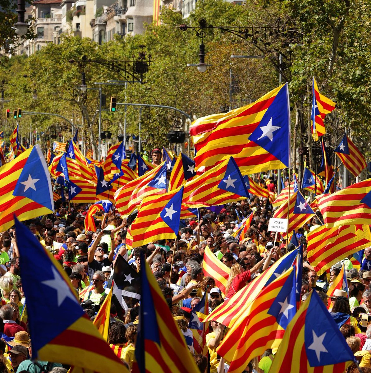 ✅ Ni toca restar en discussions internes, ni apel·lar reglaments interns
✅ Estem il·lusionats per aconseguir un nou SN 
✅ I toca treballar pel país
👉 Llegiu el manifest del secretariat Local de Sbdxi-ANC
tuit.cat/bxn2P