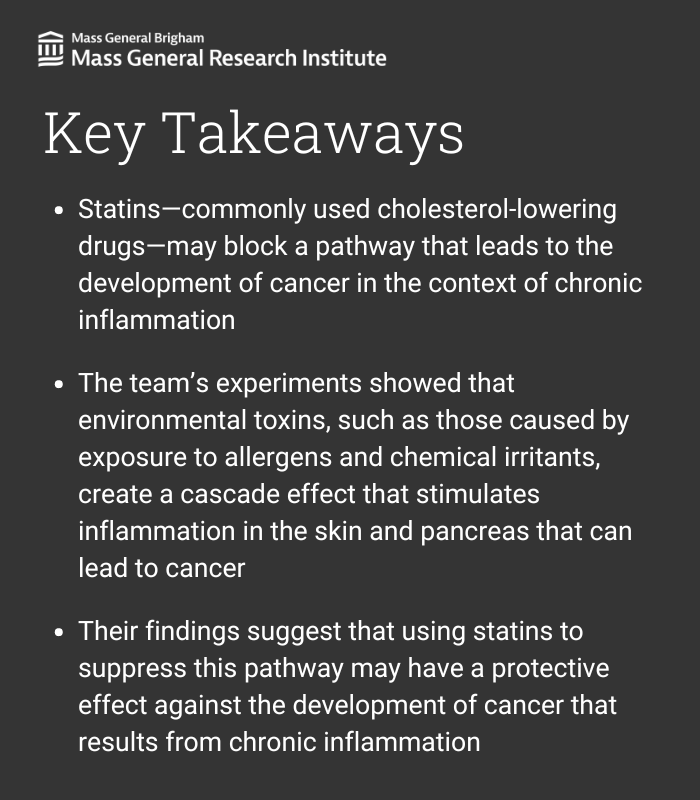 Mass General Brigham Research (@mgbresearchnews) on Twitter photo In a new <a href="/NatureComms/">Nature Communications</a> study, researchers from <a href="/MGHCancerCenter/">Mass General Cancer Center</a> and colleagues found that statin may prevent cancer by blocking inflammatory proteins.
Read more: massgeneral.org/news/press-rel… <a href="/CaImmunoprevent/">Shawn Demehri</a> In a new <a href="/NatureComms/">Nature Communications</a> study, researchers from <a href="/MGHCancerCenter/">Mass General Cancer Center</a> and colleagues found that statin may prevent cancer by blocking inflammatory proteins.
Read more: massgeneral.org/news/press-rel… <a href="/CaImmunoprevent/">Shawn Demehri</a>