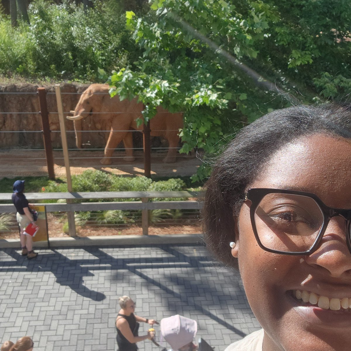 At <a href="/ZooATL/">ZooATL</a> with my fellow personalized learning crew. TODAY IS GOING TO BE AMAZING. #APSFellow24