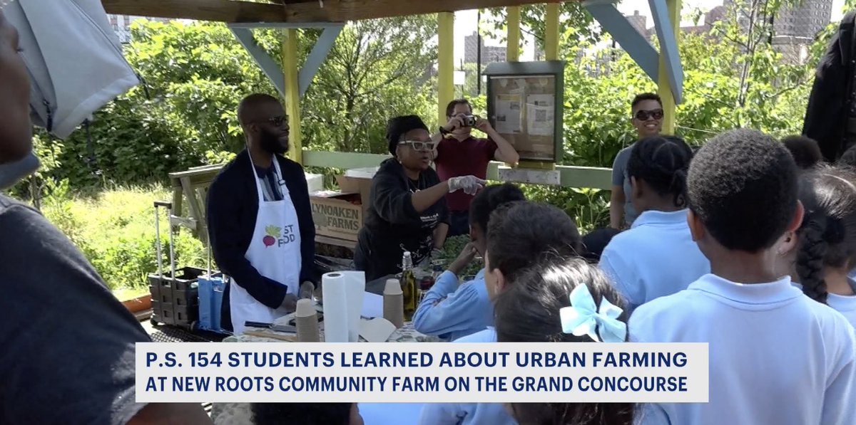 Great coverage by @News12Bronx of our Reimagining #FarmtoSchool in NYC initiative and visit to New Roots Community Farm w/PS 154/Harriet Tubman students! 'We want the kids to learn about fresh, healthy food grown right in their neighborhoods.' #NYCUrbanAg
bronx.news12.com/melrose-studen…