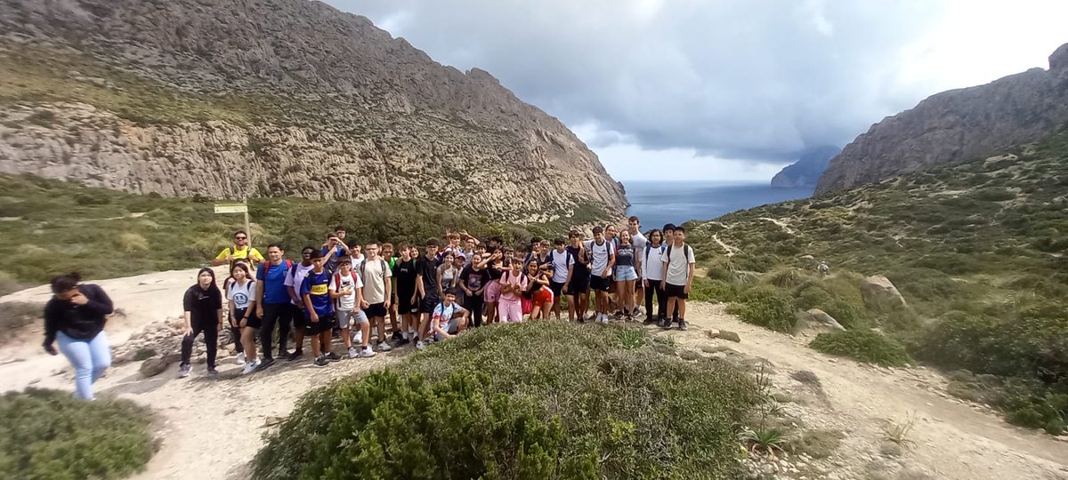 EsportsConsell's tweet photo. 🥾 Els tallers #Sumat en horari escolar del @ConselldeMca avancen... "Senderisme. Som entorn!".👉L'alumnat de 2n d'ESO practica exercici i conceptes de sostenibilitat:
1️⃣Sant Vicenç de Paül Sa Vileta: Banyalbufar-Port des Canonge.
2️⃣Santa Mónica: Port Pollença-Cala Boquer. https://t.co/0xhD4utfjP