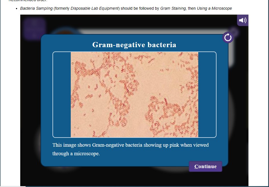 #inferences #results #gramstaining #virtualExperiment #virtualLab #AlbanyStateUniversity