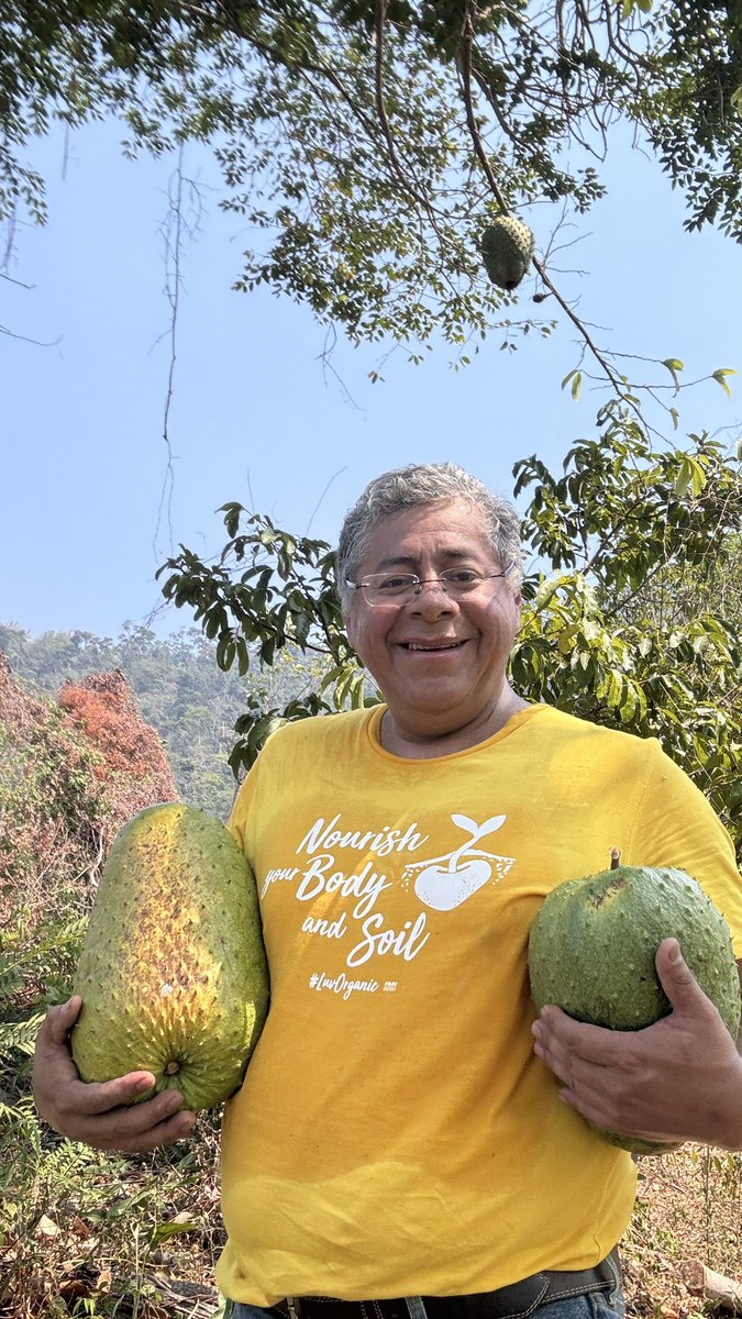 Homero Blas (@homeroblas) on Twitter photo La 25ª edición "El mundo de la agricultura #orgánica", publicado conjuntamente por <a href="/FiBLStatistics/">FiBL Statistics</a> e <a href="/ifoamorganics/">IFOAM - Organics International 🌱💚</a> muestra que el crecimiento en superficie y número de operaciones en 2022 superó con creces el de años anteriores. Datos de 188 países 👉🏼 ifoam.bio/news/global-or… La 25ª edición "El mundo de la agricultura #orgánica", publicado conjuntamente por <a href="/FiBLStatistics/">FiBL Statistics</a> e <a href="/ifoamorganics/">IFOAM - Organics International 🌱💚</a> muestra que el crecimiento en superficie y número de operaciones en 2022 superó con creces el de años anteriores. Datos de 188 países 👉🏼 ifoam.bio/news/global-or…