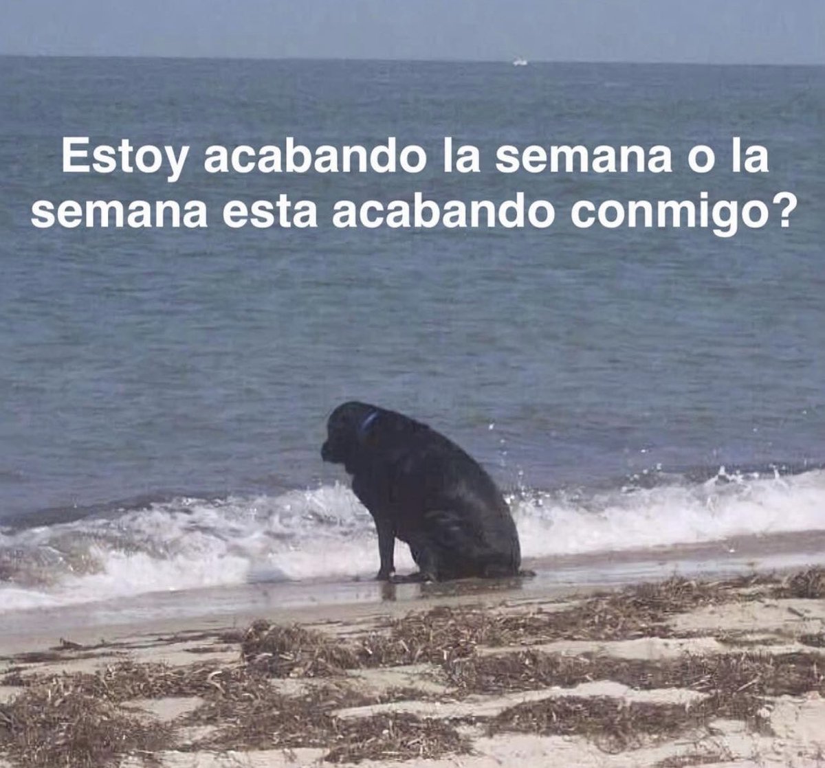 Guarromantico_'s tweet image. Mood: