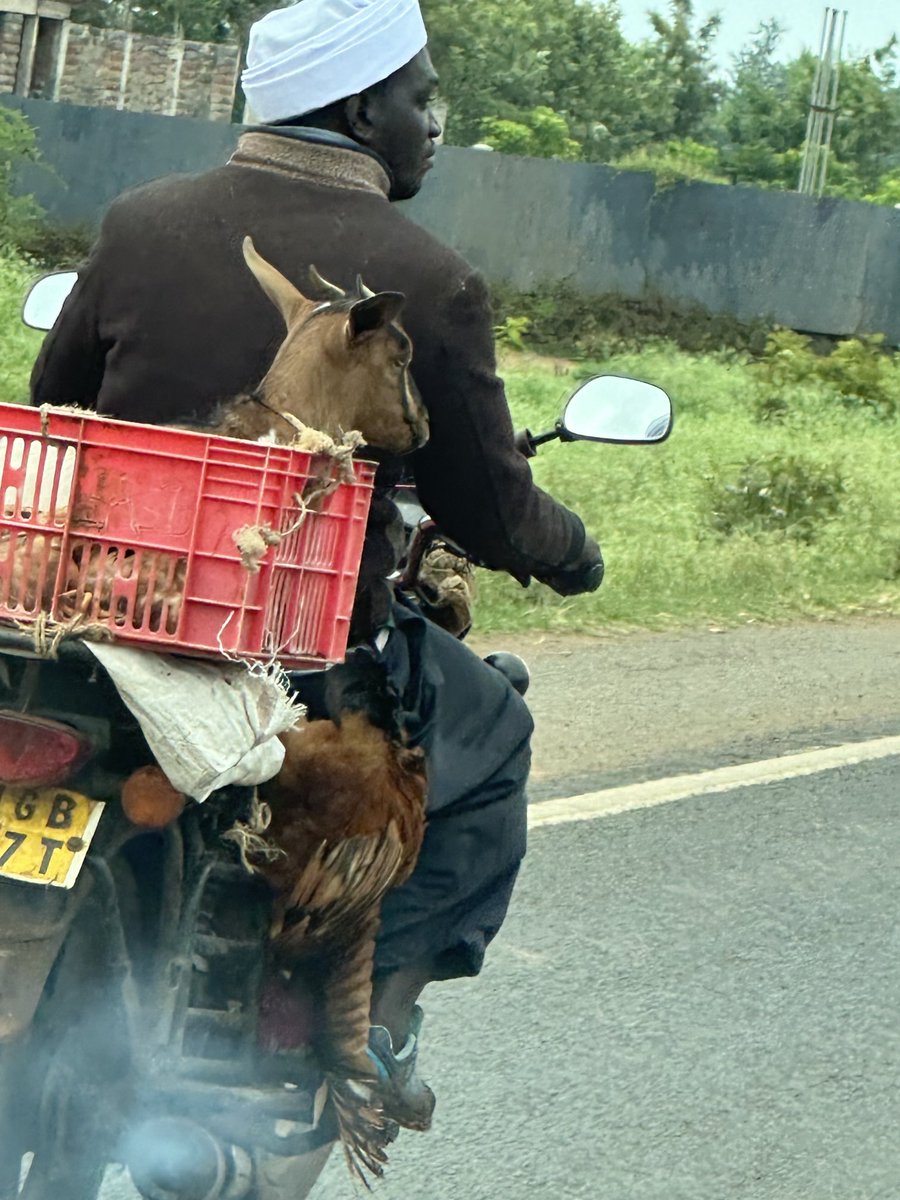 I love Africa, we improvise &amp; make life easy &amp; bearable! I admired this guy on his motorbike carrying a goat &amp; some chicken on the sides..kind off passing on a very important message ie….life is not complucated we are the ones who complicates life…