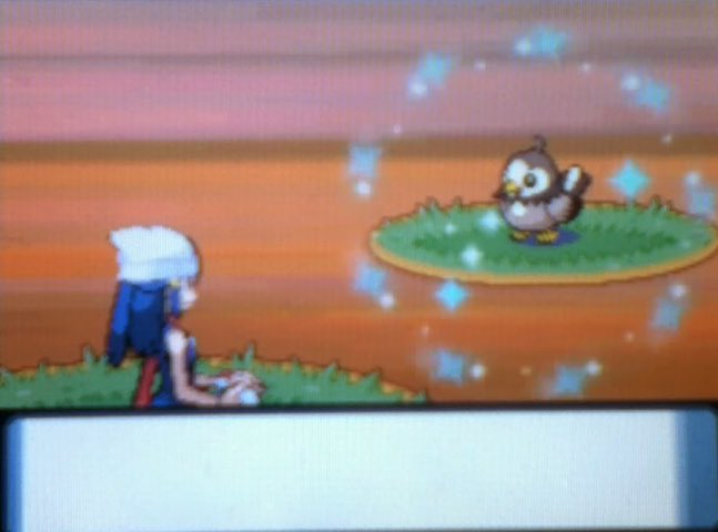 sinnoh_CEO's tweet photo. Which was your first shiny? Mine was Starly in Pokémon Platinum at route 201 without pokeballs :) https://t.co/aiUo2XafpH