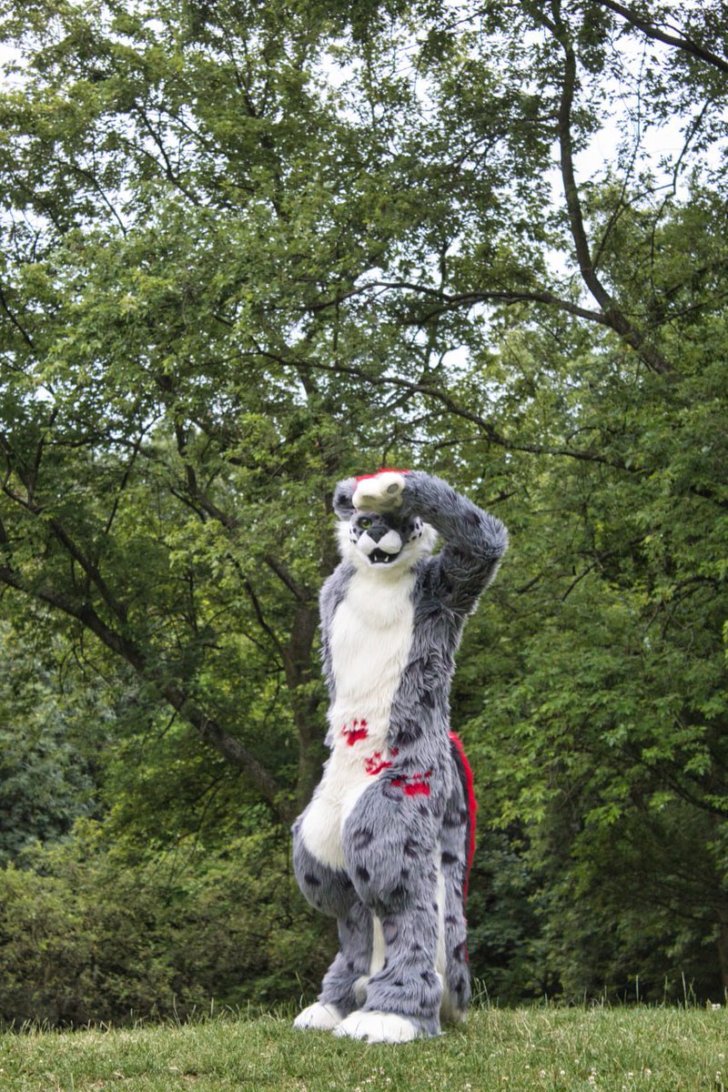 I can see the weekend. 
That means it´s #fursuitfriday

📸 <a href="/FoxGamer4live/">💚Sparky/Roger❤️</a>