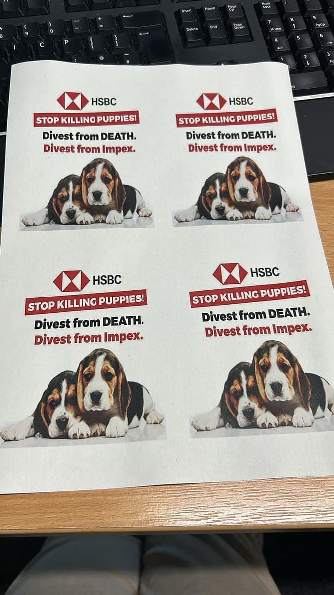 Tony ⚒ (@74tonystac) on Twitter photo This bank loans money to #impex to transport beagles and monkeys to laboratory’s around the UK..how do they sleep at night <a href="/HSBC_UK/">HSBC UK</a> <a href="/HSBC/">HSBC</a>..<a href="/TheCampBeagle_/">The Camp Beagle</a> <a href="/GBNEWS/">GB News</a> <a href="/huntspost/">Hunts Post</a> #IMPEXHSBC This bank loans money to #impex to transport beagles and monkeys to laboratory’s around the UK..how do they sleep at night <a href="/HSBC_UK/">HSBC UK</a> <a href="/HSBC/">HSBC</a>..<a href="/TheCampBeagle_/">The Camp Beagle</a> <a href="/GBNEWS/">GB News</a> <a href="/huntspost/">Hunts Post</a> #IMPEXHSBC