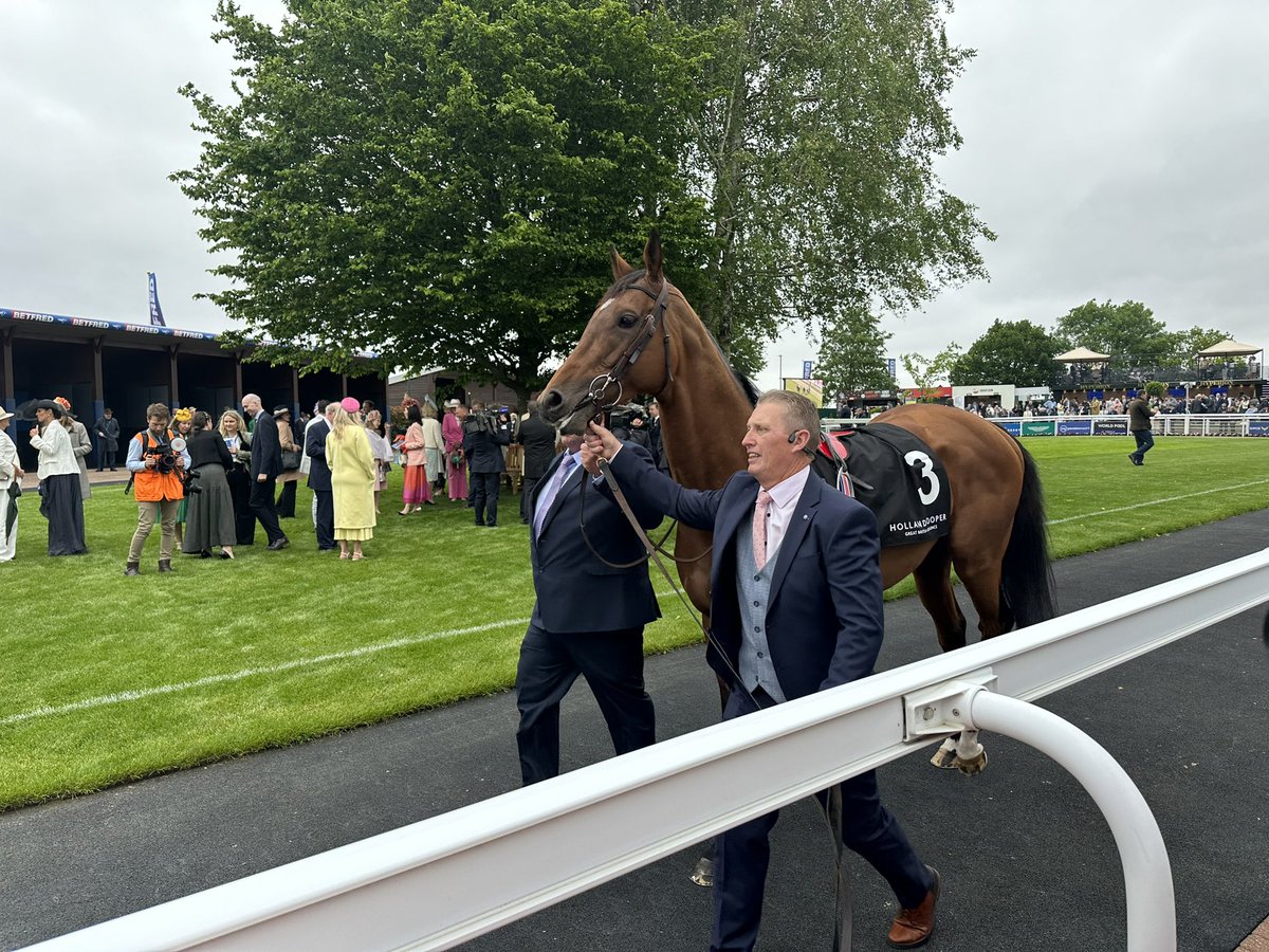 .@aobrienfansite  Luxemburg in the paddock