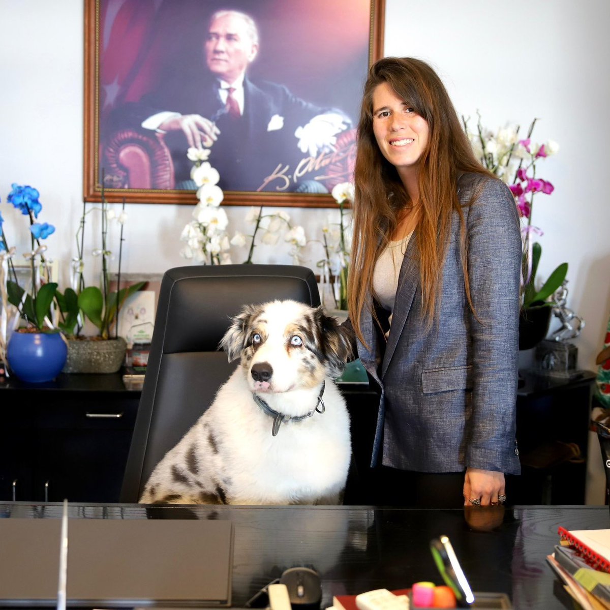 Çeşme Belediye Başkanı Lal Denizli makam koltuğuna köpeğini oturttu.
