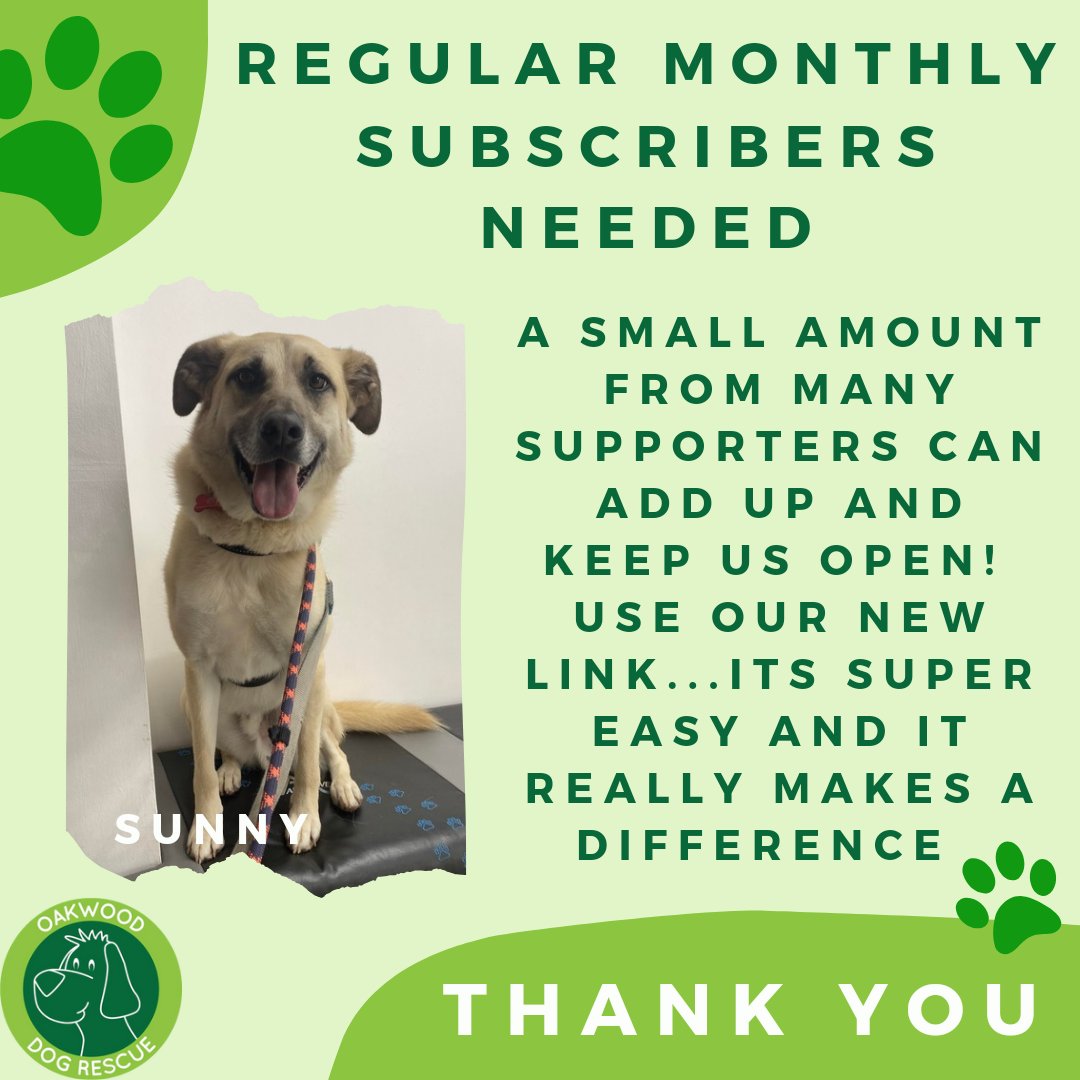 Would you consider donating regularly each month?🙏 A small amount, from each follower, a month can help keep the dogs fed, warm & a roof over their heads 🐶 Our new link makes it super easy 💚 nowdonate.com/checkout/en7i1… #k9hour #rescue #adoptdontshop #teamzay #dogsoftwitter #dog