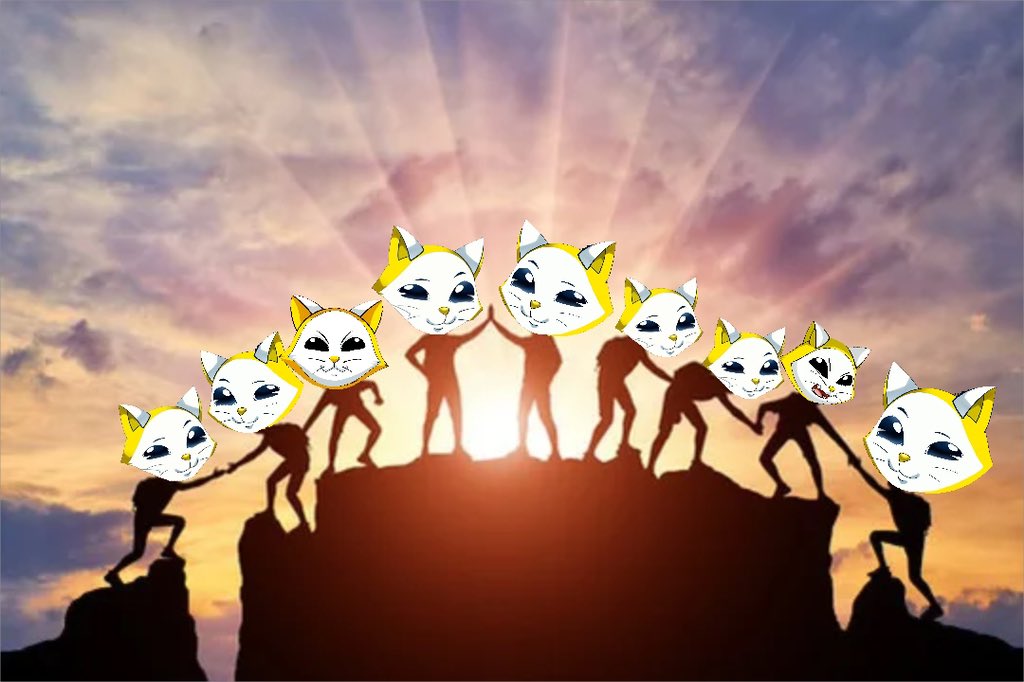 tonyogy604's tweet photo. @TheTrueSnapcat #snapcat $snpcat https://t.co/vkwHupsN1c