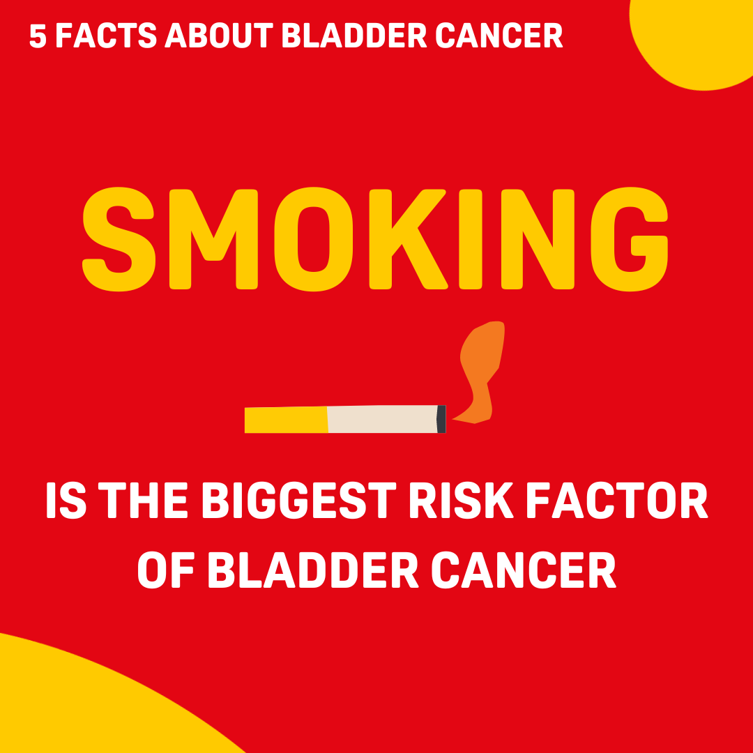 📣  #WorldNoTabaccoDay

➡ More than 7,000 different chemicals are in tobacco & tobacco smoke-  more than 70 of them are known to cause cancer. 

🚬 is the biggest risk factor of #bladdercancer. 

Learn more  & stay #BladderCancerAware!

👉 ow.ly/wXGP50Oi65c