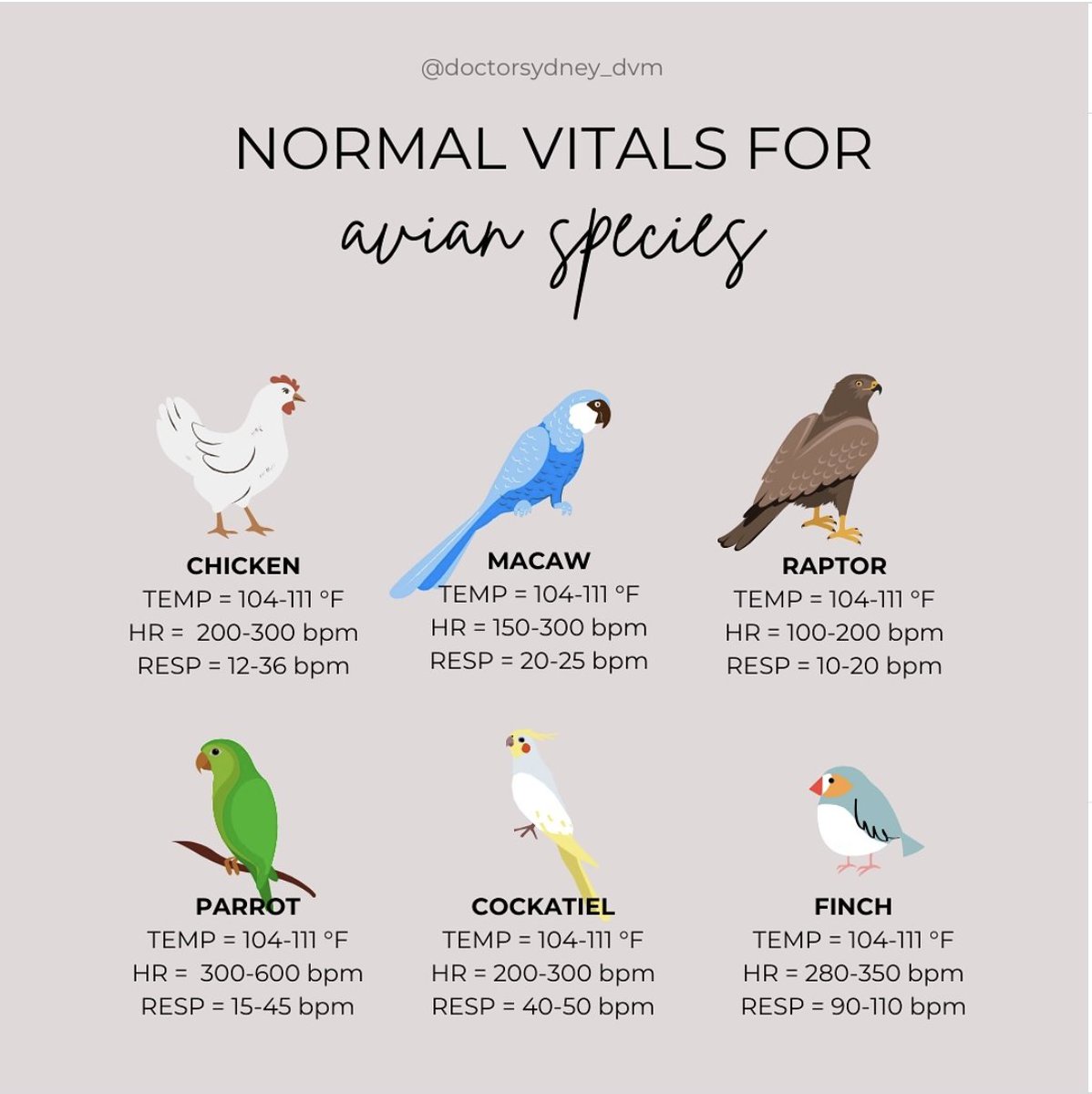 aavonline's tweet photo. Normal Vitals for Avian Species
Repost from @doctorsydney_dvm

https://t.co/lo0tUBCNT2

#birdvitals #birdfacts #aav #aavmember #avianvets #avianveterinarians #avianmedicine https://t.co/glCnyRE35T