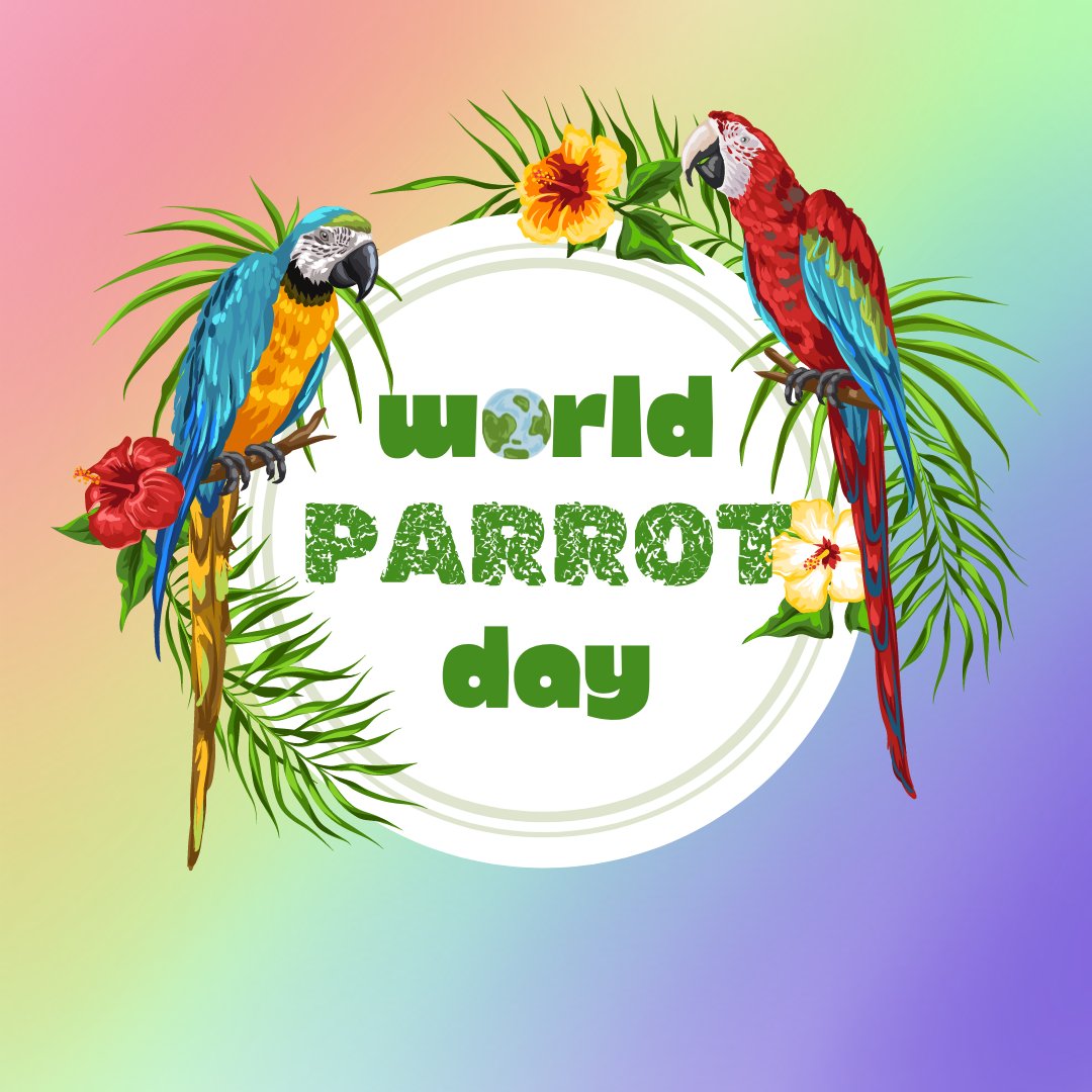 AAZK (@aazkinc) on Twitter photo Do you consider your AAZK Chapter to be a crackle of cockatoos, pandemonium of parrots, or a chatter of budgies?
No matter your collective, we LOVE that you are part of the AAZK flock!
#worldparrotday Do you consider your AAZK Chapter to be a crackle of cockatoos, pandemonium of parrots, or a chatter of budgies?
No matter your collective, we LOVE that you are part of the AAZK flock!
#worldparrotday