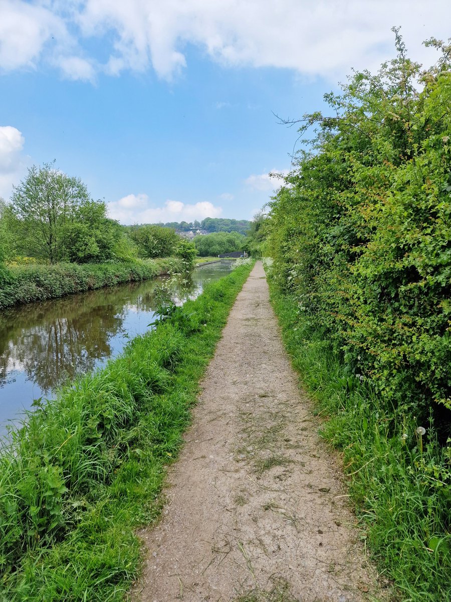 Thank you @CanalRiverTrust for always doing an excellent job of maintaining the towpath verges along the Endon stretch of Caldon Canal. The local @CRTWestMidlands team try and strike the right balance between careful vegetation management and letting wildlife thrive. 🌊🌱🦆🦋🐝